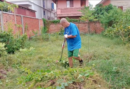 Clearing the land & preparing the soil